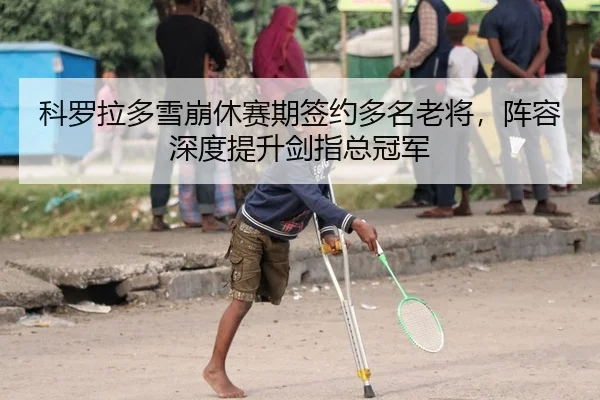 科罗拉多雪崩休赛期签约多名老将，阵容深度提升剑指总冠军
